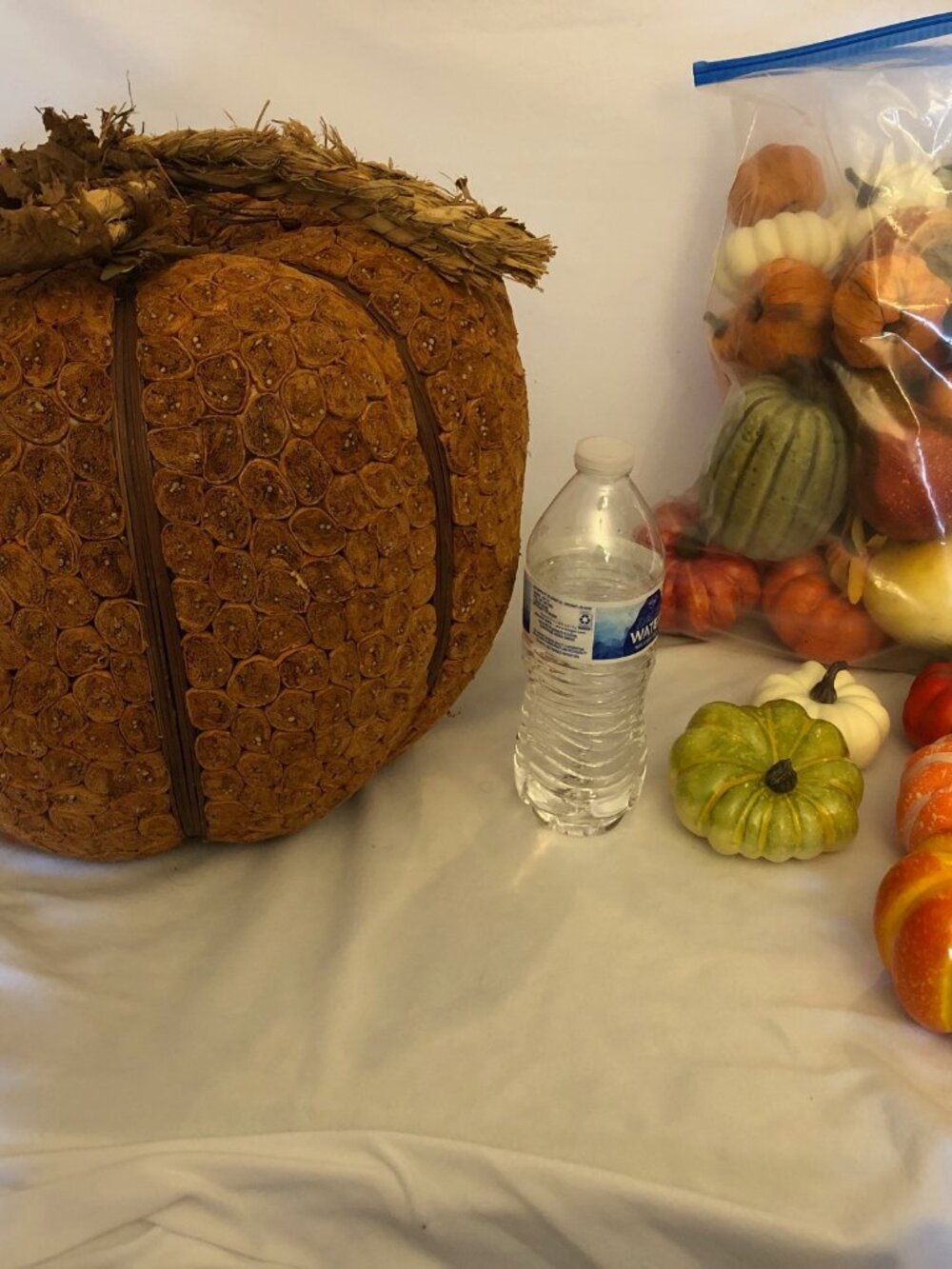 Pumpkins & Gourds Galore